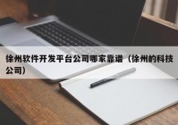 徐州软件开发平台公司哪家靠谱（徐州的科技公司）