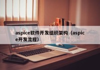 aspice软件开发组织架构（aspice开发流程）