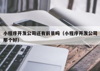 小程序开发公司还有前景吗（小程序开发公司那个好）