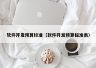 软件开发预算标准（软件开发预算标准表）